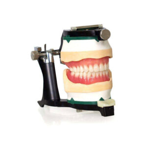 Luxury Deluxe Articulator (#1050085)