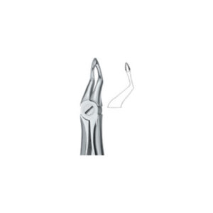 Tooth Ext Forceps