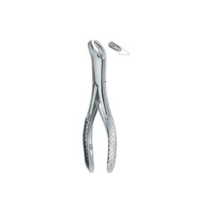 Martin Ergo ,Very Fine Roots