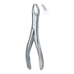 Martin Ergo ,Very Fine Roots 225