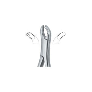 Harris Molars , Right 18R