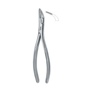 Root Fragments And Universal 501